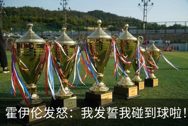 霍伊伦发怒：我发誓我碰到球啦！